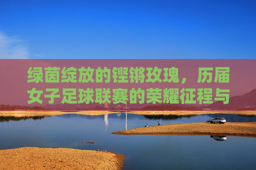 绿茵绽放的铿锵玫瑰,历届女子足球联赛的荣耀征程与时代回响