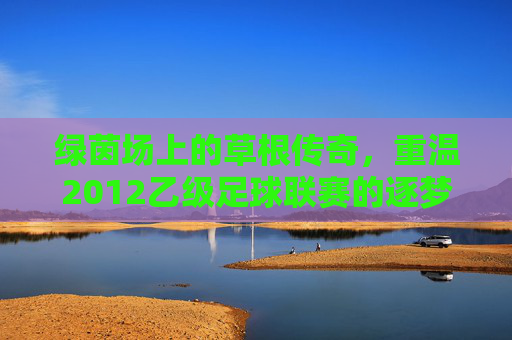 绿茵场上的草根传奇,重温2012乙级足球联赛的逐梦岁月
