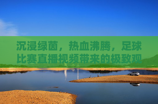 沉浸绿茵,热血沸腾,足球比赛直播视频带来的极致观赛体验