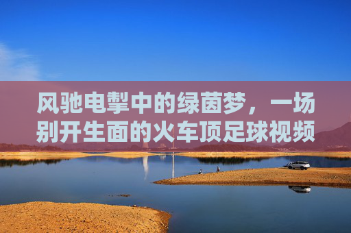 风驰电掣中的绿茵梦,一场别开生面的火车顶足球视频直播