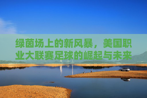 绿茵场上的新风暴,美国职业大联赛足球的崛起与未来