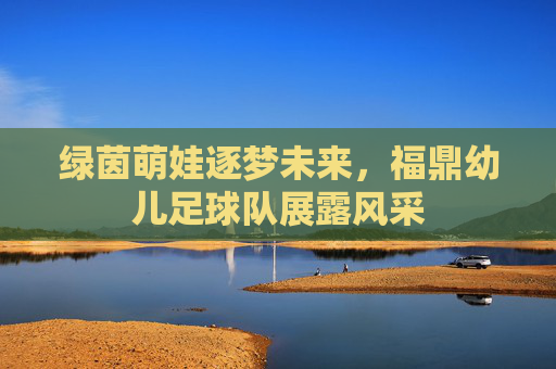 绿茵萌娃逐梦未来,福鼎幼儿足球队展露风采