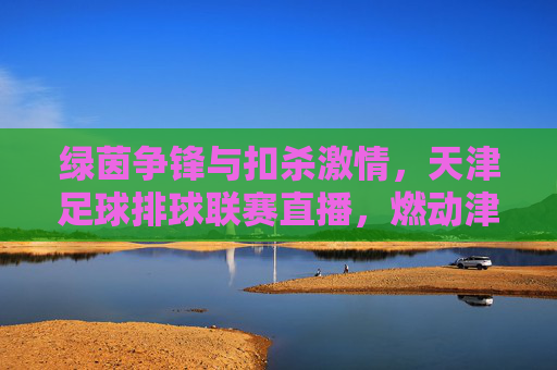 绿茵争锋与扣杀激情,天津足球排球联赛直播,燃动津门!