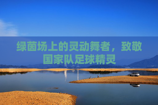 绿茵场上的灵动舞者,致敬国家队足球精灵