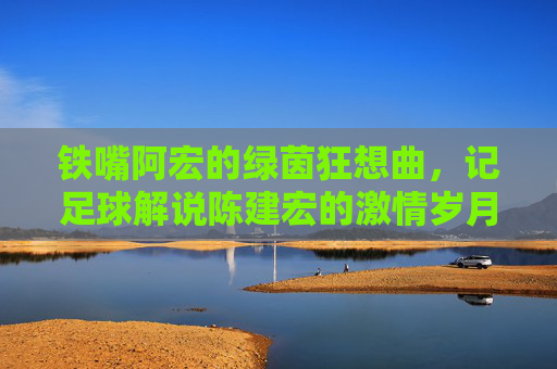 铁嘴阿宏的绿茵狂想曲,记足球解说陈建宏的激情岁月