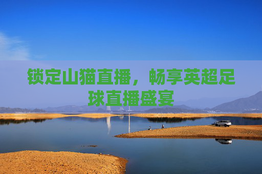 锁定山猫直播,畅享英超足球直播盛宴