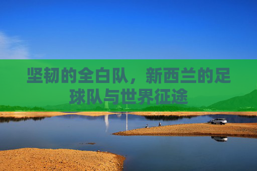 坚韧的全白队,新西兰的足球队与世界征途