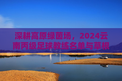 深耕高原绿茵场,2024云南丙级足球教练名单与草根足球生态