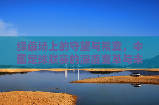 绿茵场上的守望与希冀,中国足球联赛的深度变革与未来展望