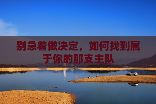 别急着做决定,如何找到属于你的那支主队