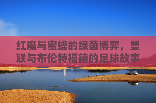 红魔与蜜蜂的绿茵博弈,曼联与布伦特福德的足球故事