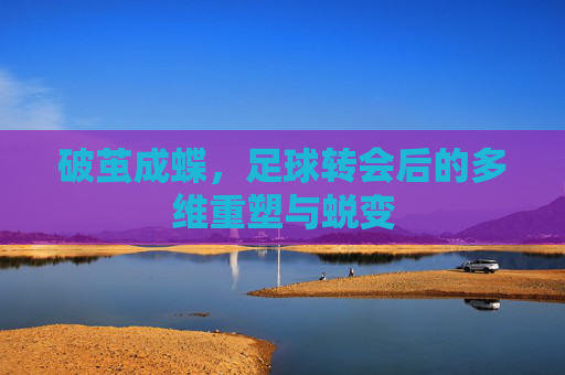破茧成蝶,足球转会后的多维重塑与蜕变