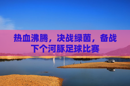 热血沸腾,决战绿茵,备战下个河豚足球比赛