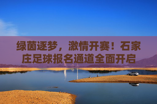 绿茵逐梦，激情开赛！石家庄足球报名通道全面开启