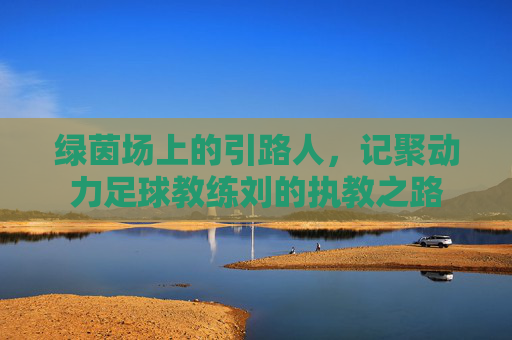 绿茵场上的引路人,记聚动力足球教练刘的执教之路