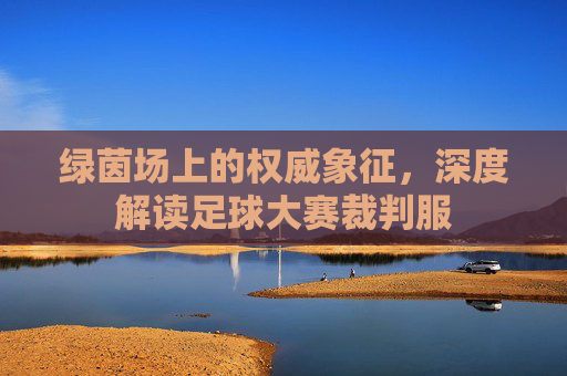 绿茵场上的权威象征,深度解读足球大赛裁判服