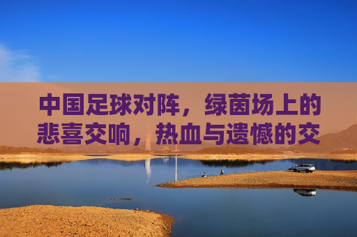 中国足球对阵,绿茵场上的悲喜交响,热血与遗憾的交织