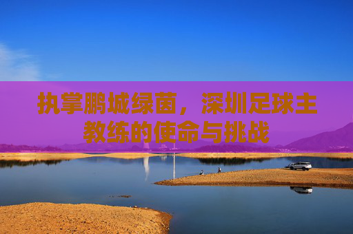 执掌鹏城绿茵,深圳足球主教练的使命与挑战