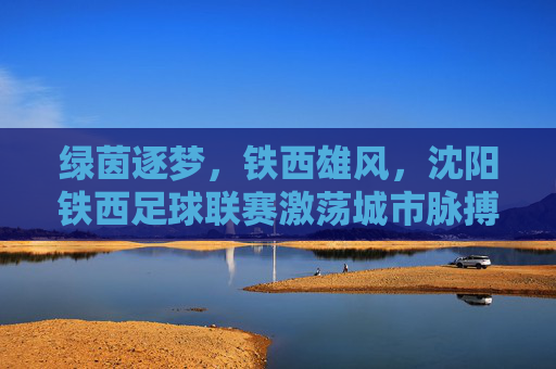 绿茵逐梦，铁西雄风，沈阳铁西足球联赛激荡城市脉搏