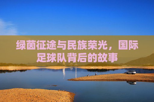 绿茵征途与民族荣光,国际足球队背后的故事