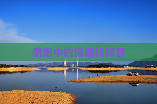 硝烟中的绿茵指挥官