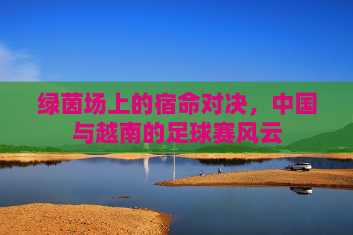 绿茵场上的宿命对决,中国与越南的足球赛风云