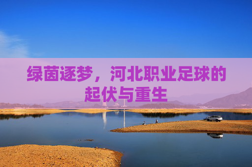 绿茵逐梦,河北职业足球的起伏与重生