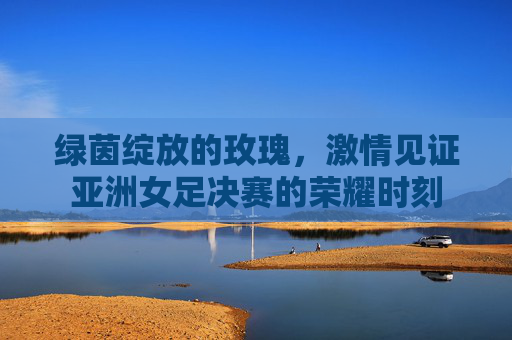 绿茵绽放的玫瑰,激情见证亚洲女足决赛的荣耀时刻