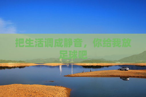 把生活调成静音,你给我放足球吧