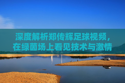 深度解析郑传辉足球视频,在绿茵场上看见技术与激情的碰撞