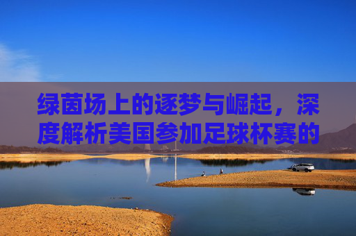 绿茵场上的逐梦与崛起，深度解析美国参加足球杯赛的历程与未来