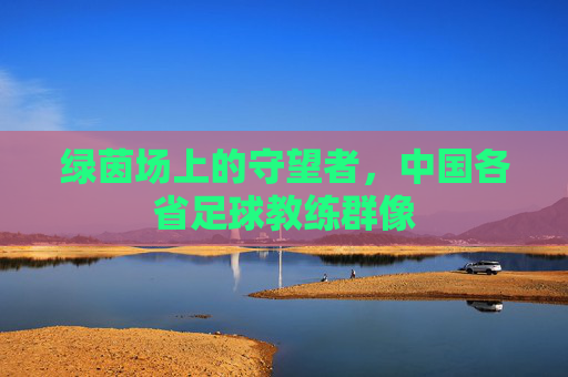 绿茵场上的守望者,中国各省足球教练群像
