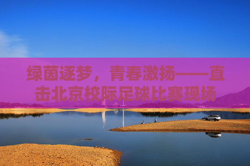 绿茵逐梦,青春激扬——直击北京校际足球比赛现场