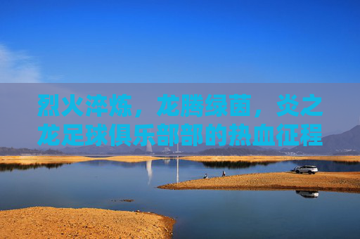 烈火淬炼，龙腾绿茵，炎之龙足球俱乐部部的热血征程