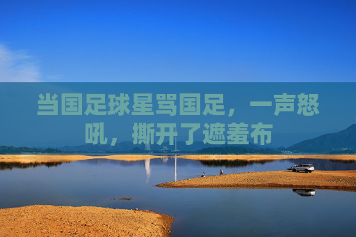 当国足球星骂国足,一声怒吼,撕开了遮羞布