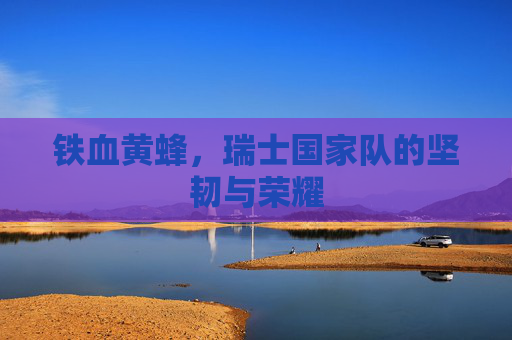 铁血黄蜂,瑞士国家队的坚韧与荣耀
