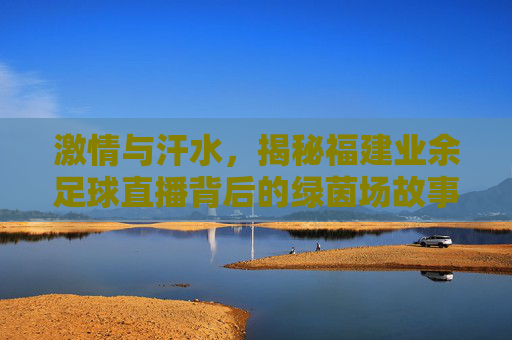 激情与汗水,揭秘福建业余足球直播背后的绿茵场故事