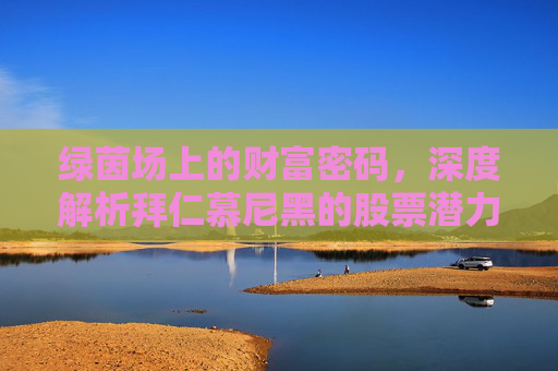 绿茵场上的财富密码,深度解析拜仁慕尼黑的股票潜力与商业帝国