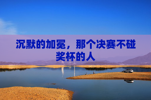 沉默的加冕,那个决赛不碰奖杯的人