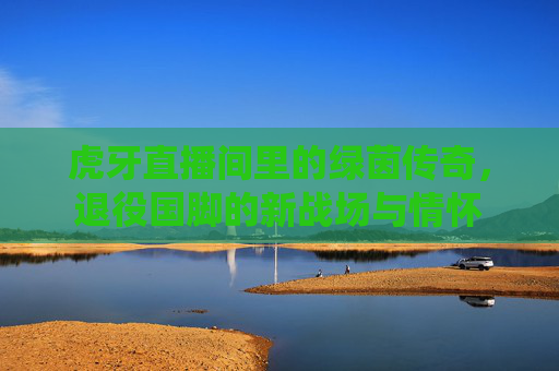 虎牙直播间里的绿茵传奇,退役国脚的新战场与情怀