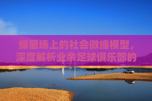 绿茵场上的社会微缩模型,深度解析业余足球俱乐部的社会价值