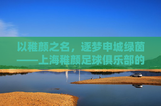 以稚颜之名,逐梦申城绿茵——上海稚颜足球俱乐部的成长故事