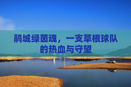 鹃城绿茵魂,一支草根球队的热血与守望