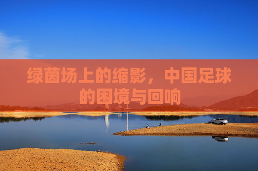 绿茵场上的缩影,中国足球的困境与回响