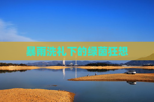 暴雨洗礼下的绿茵狂想