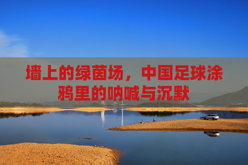 墙上的绿茵场,中国足球涂鸦里的呐喊与沉默