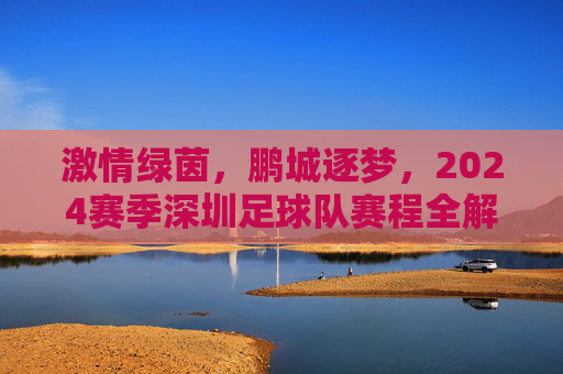 激情绿茵,鹏城逐梦,2024赛季深圳足球队赛程全解析