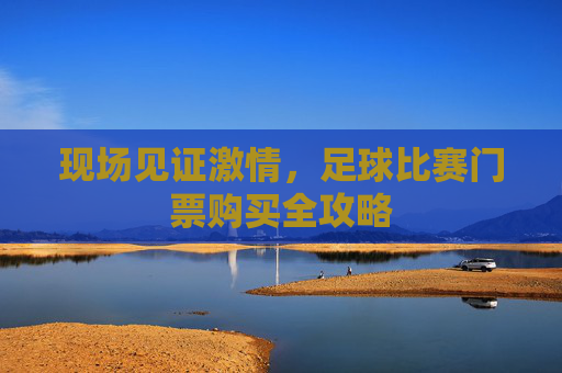 现场见证激情,足球比赛门票购买全攻略