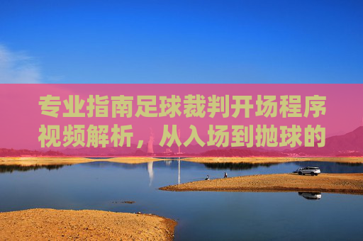 专业指南足球裁判开场程序视频解析,从入场到抛球的每一个细节
