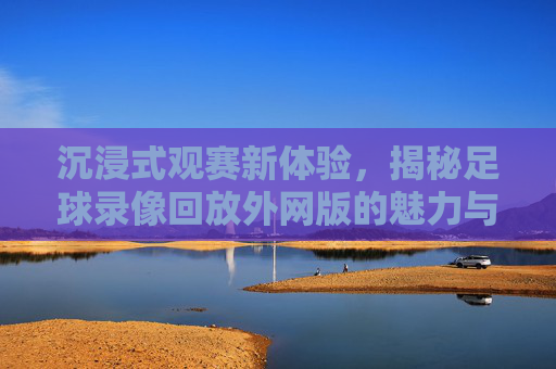 沉浸式观赛新体验,揭秘足球录像回放外网版的魅力与获取方式